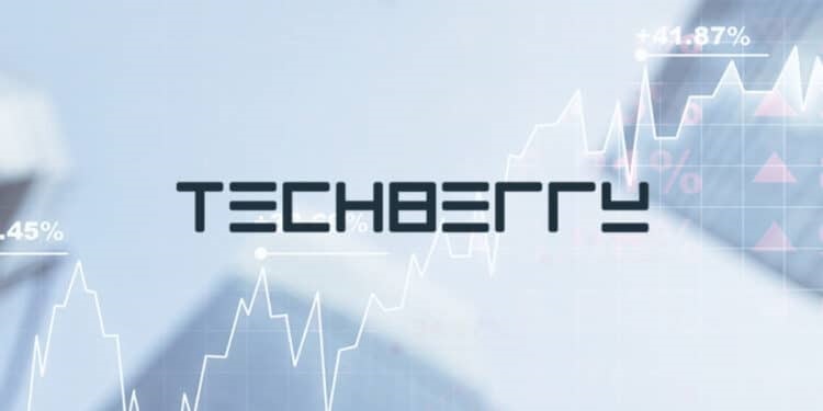 techberry.online review