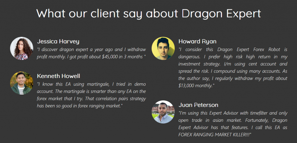 dragon expert reviews