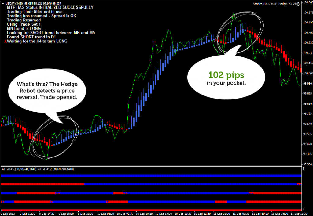 Hedge Forex Robot screenshot