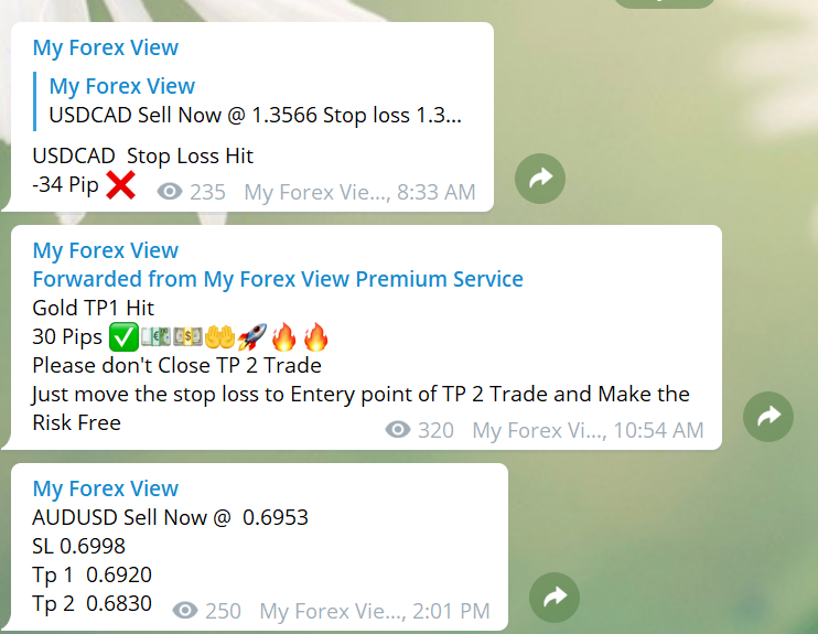 My Forex View  telegram channel