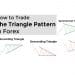 How Do the Top Forex Traders Use Triangle Chart Patterns