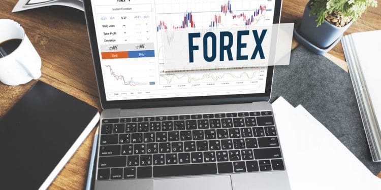Must-Have Forex Trading Tools for Big Wins