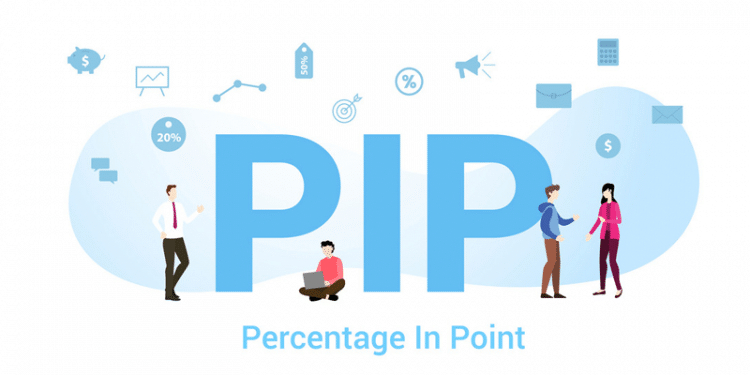 What Is a Percentage in Point? Step by Step Guide