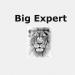 Big Expert