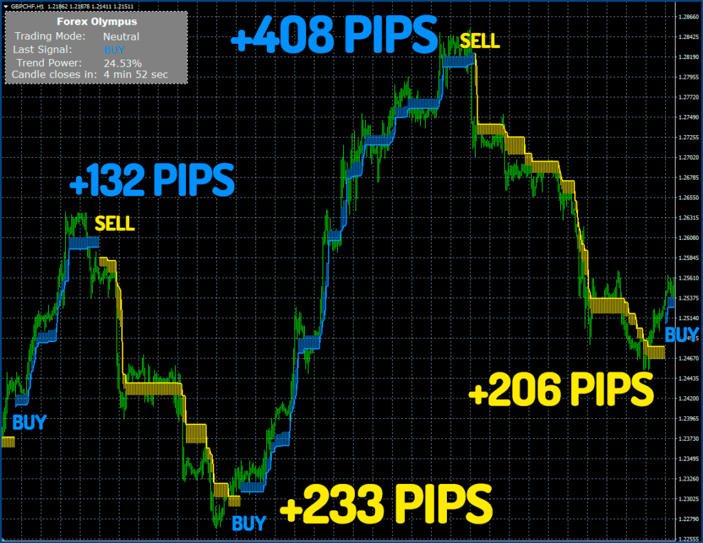 Forex Olympus Trading Results