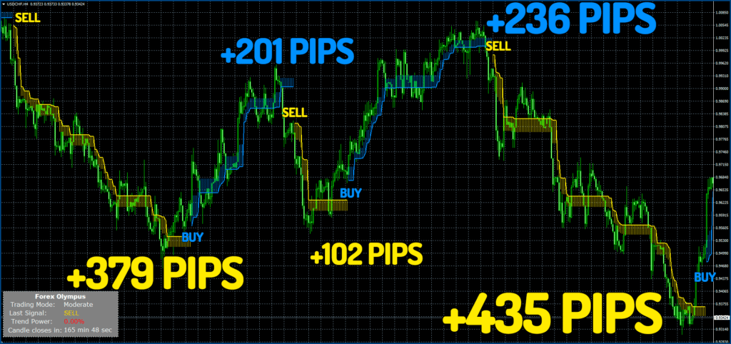 Forex Olympus Trading Results