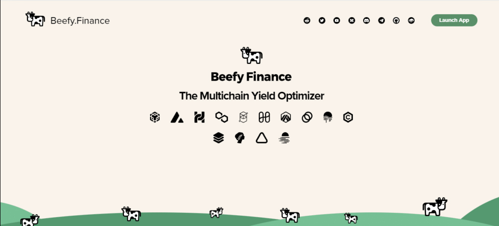 Beefy.finance website