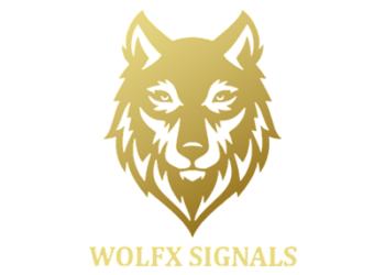 Wolfx Signals Review