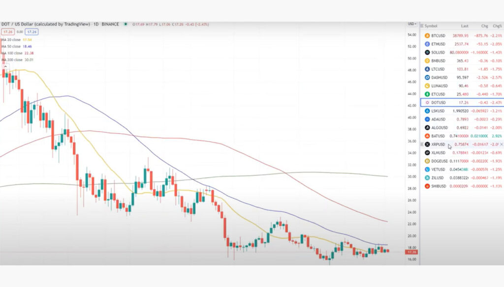 SurgeTrader Review