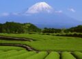 Yen Under Pressure as Japan Heads Toward Pivotal Vote